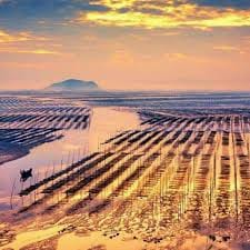 سدرہ امین avatar