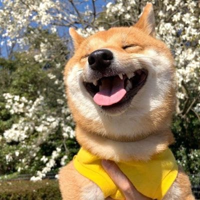 Arsalan Naseer avatar